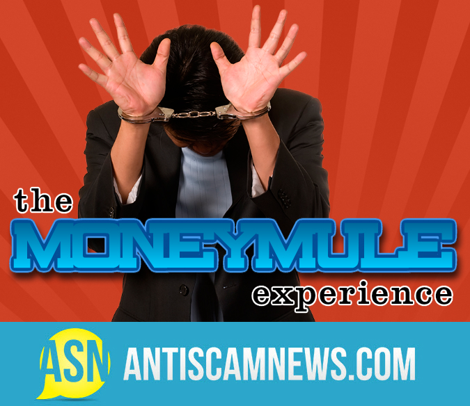 Money Mules Explained